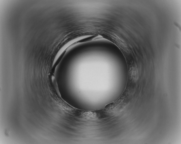 X0000098030421200804071421