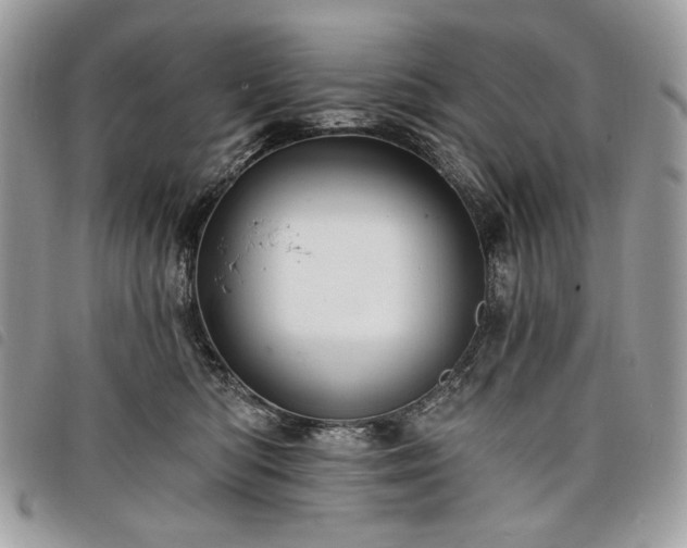 X0000098030422200804071421