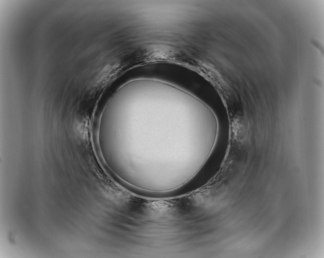 X0000098030423200804071421