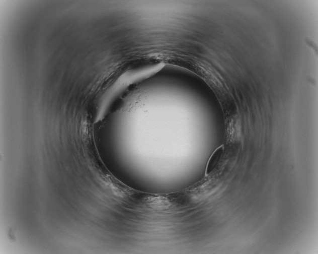 X0000098030424200804071421