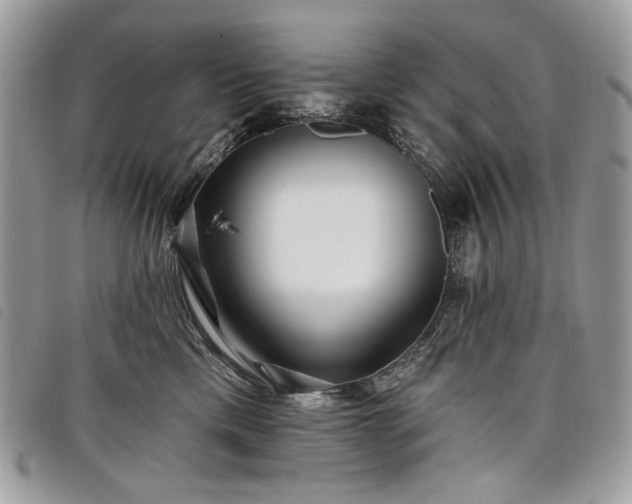 X0000098030425200804071421