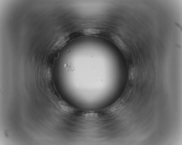 X0000098030426200804071421