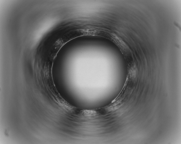 X0000098030429200804071421