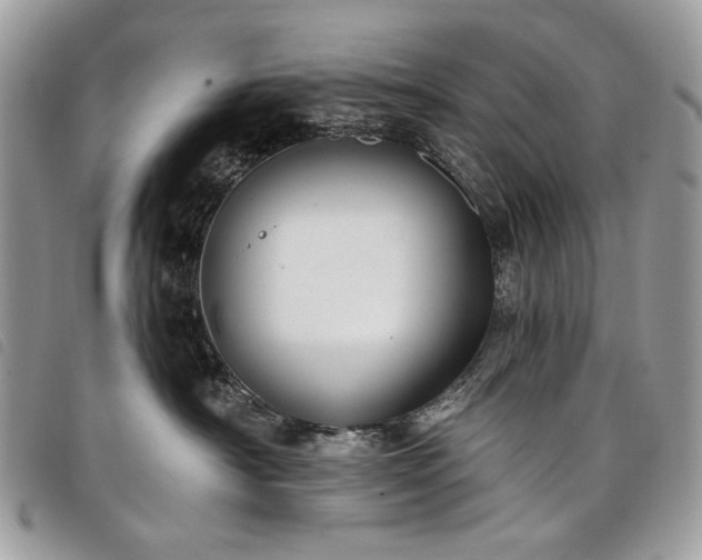 X0000098030430200804071420