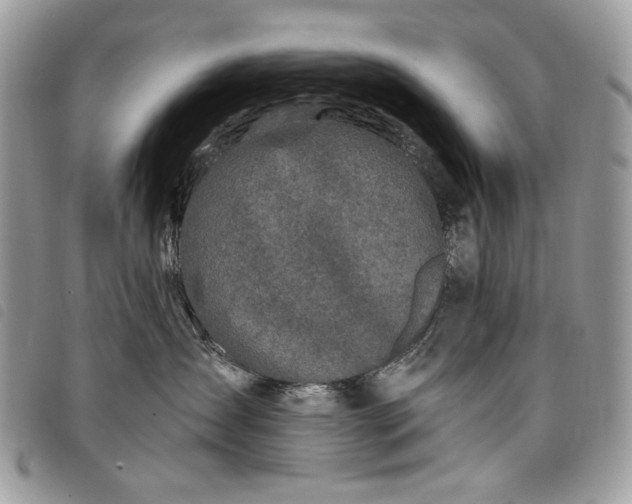 X0000098030431200804071420