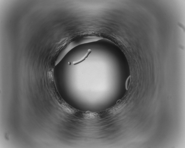 X0000098030432200804071420