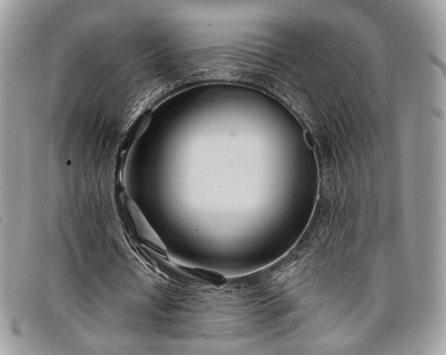 X0000098030434200804071420