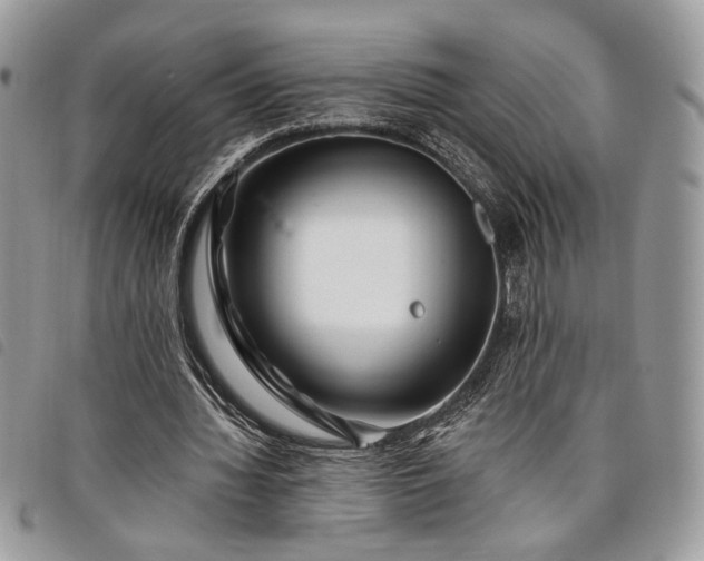 X0000098030436200804071420