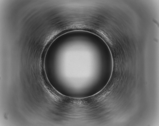 X0000098030439200804071420