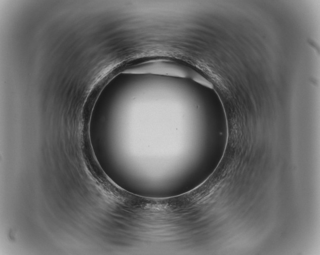 X0000098030440200804071420