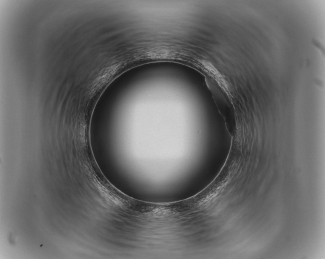 X0000098030441200804071420