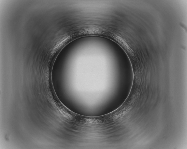 X0000098030442200804071420