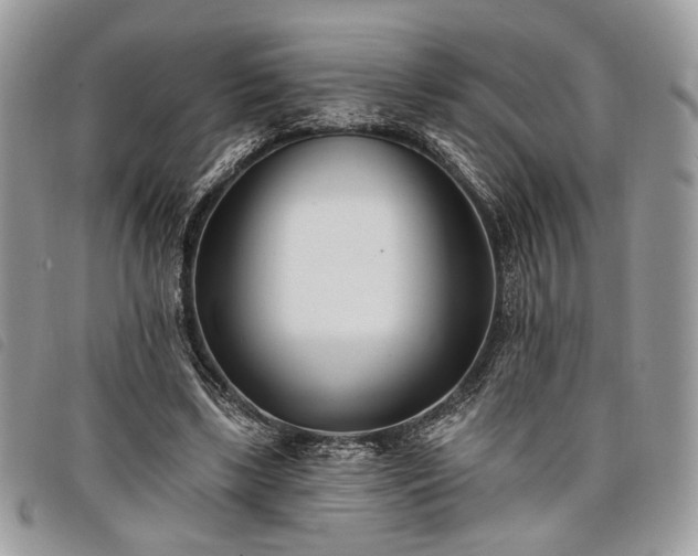 X0000098030443200804071420