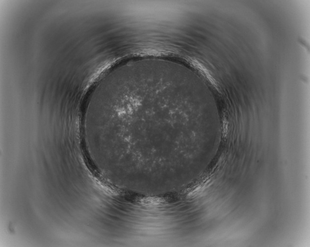 X0000098030444200804071420