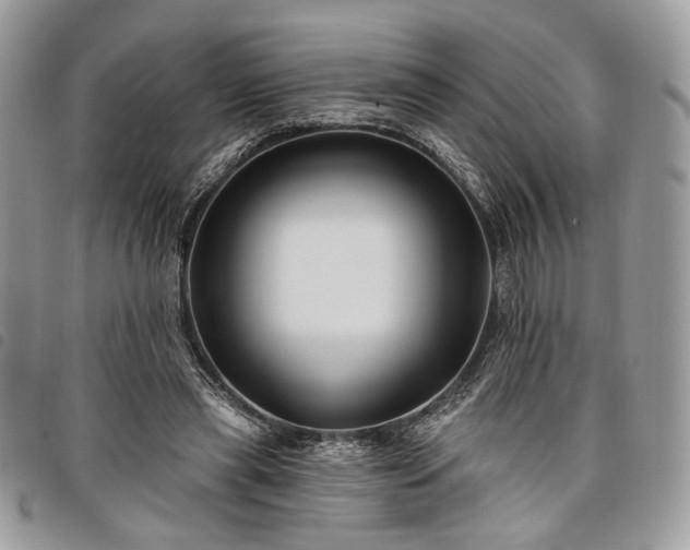 X0000098030445200804071420