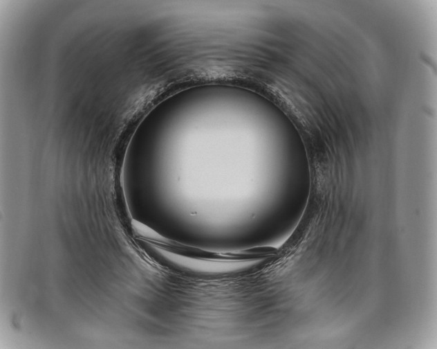 X0000098030447200804071420