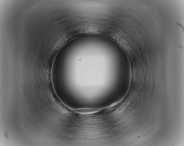 X0000098030449200804071420