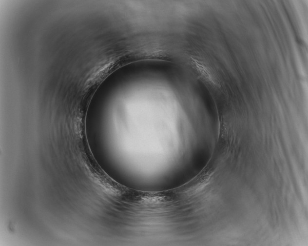 X0000098030450200804071420