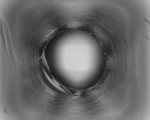 X0000098030452200804071420