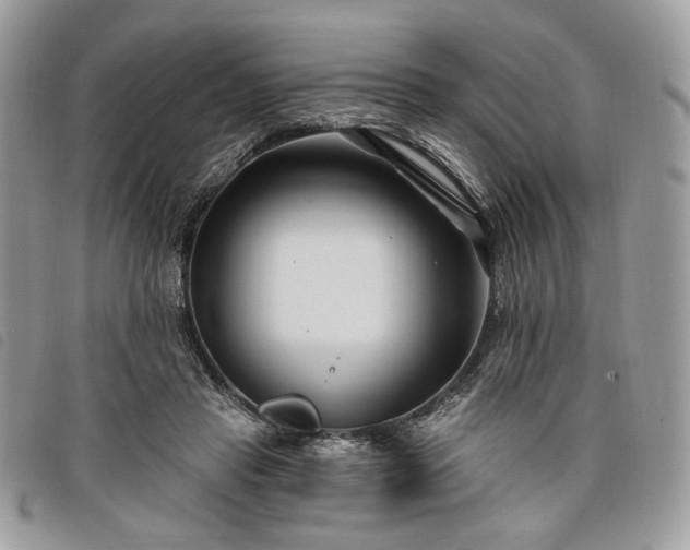 X0000098030453200804071420