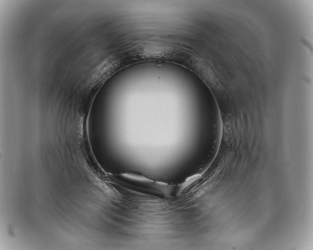 X0000098030454200804071420