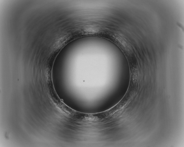 X0000098030455200804071420