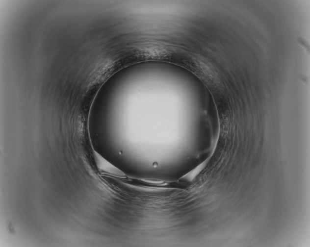 X0000098030456200804071420