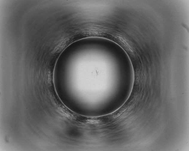 X0000098030457200804071420