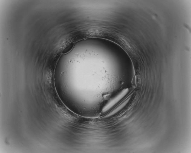 X0000098030458200804071420