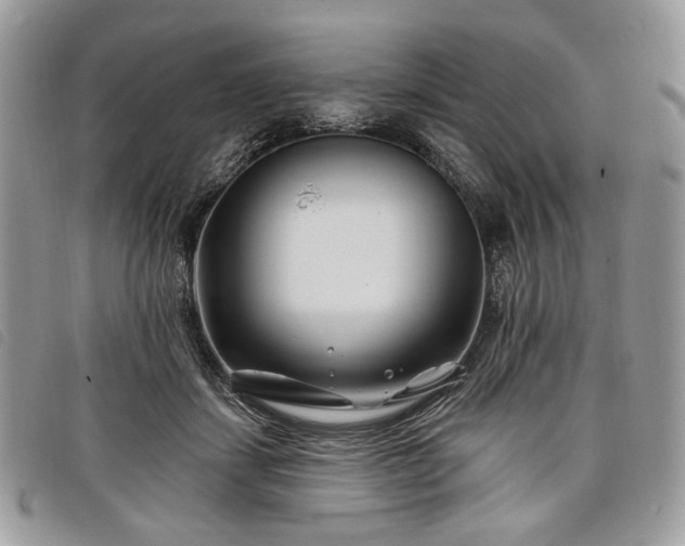 X0000098030459200804071420