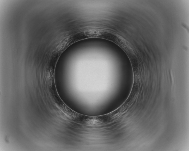 X0000098030460200804071420