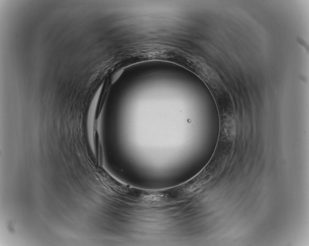 X0000098030461200804071420