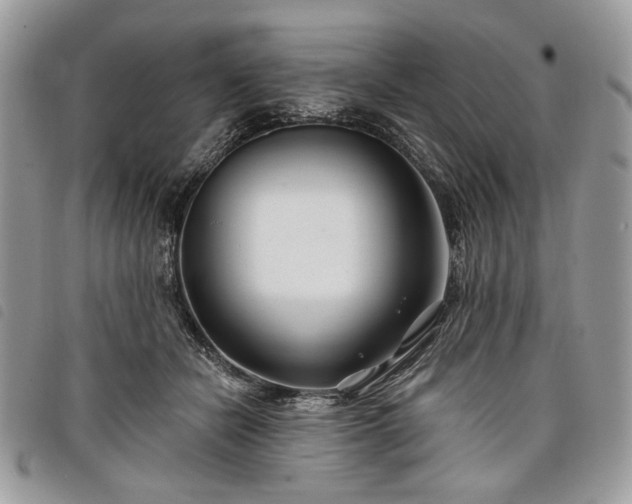 X0000098030462200804071420