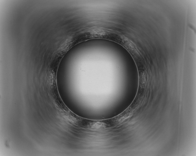 X0000098030463200804071420