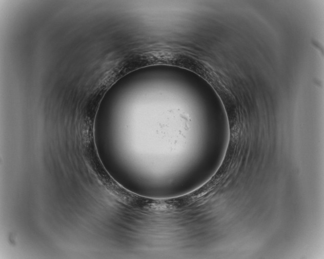 X0000098030464200804071420