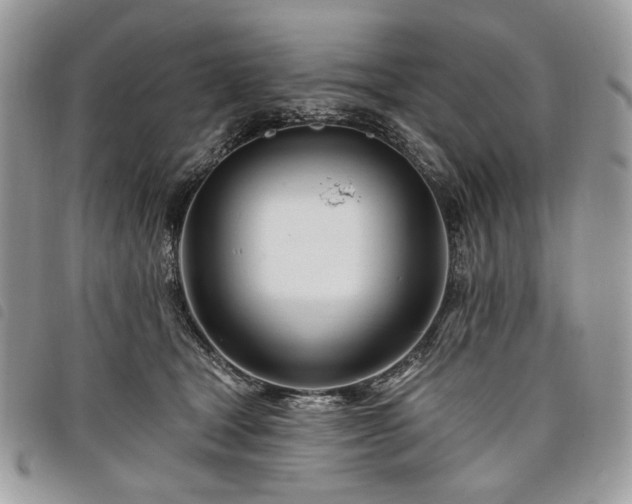 X0000098030465200804071420