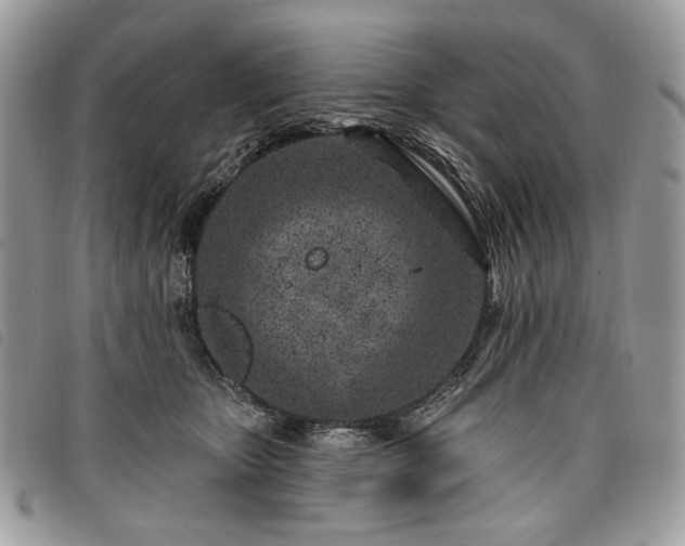 X0000098030467200804071420