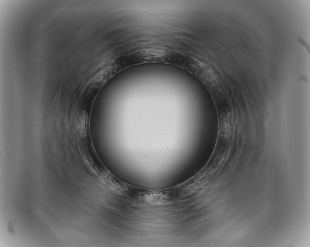 X0000098030468200804071420