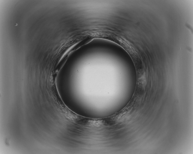 X0000098030469200804071420