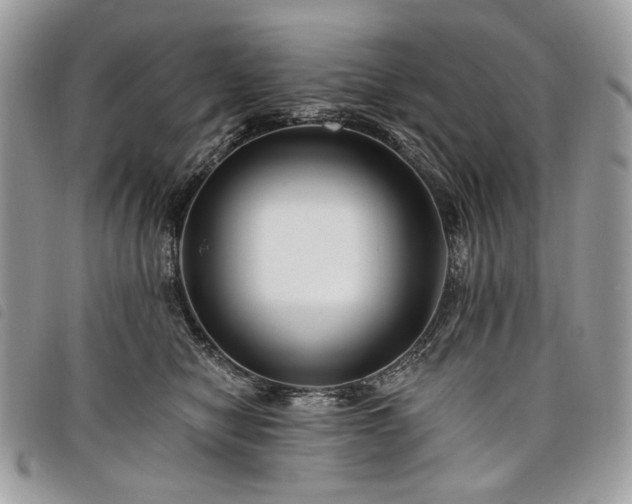 X0000098030470200804071420