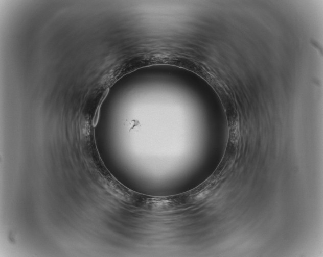 X0000098030472200804071420