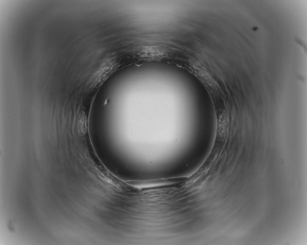 X0000098030474200804071420