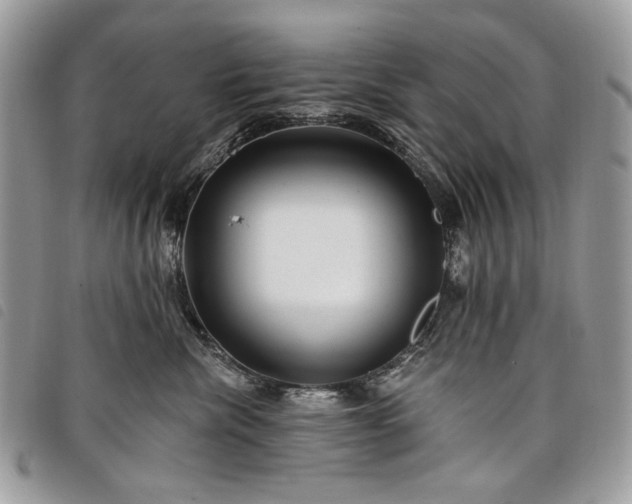 X0000098030476200804071420