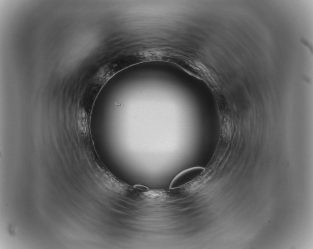 X0000098030477200804071420