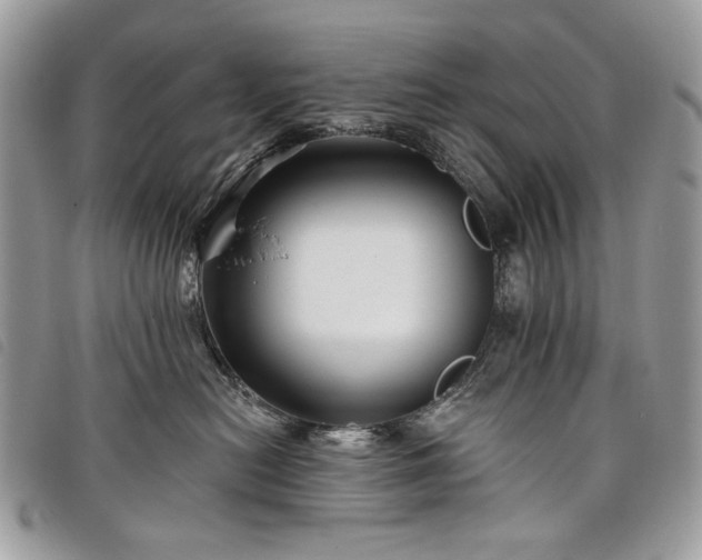 X0000098030478200804071420