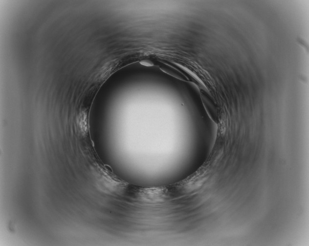 X0000098030479200804071420