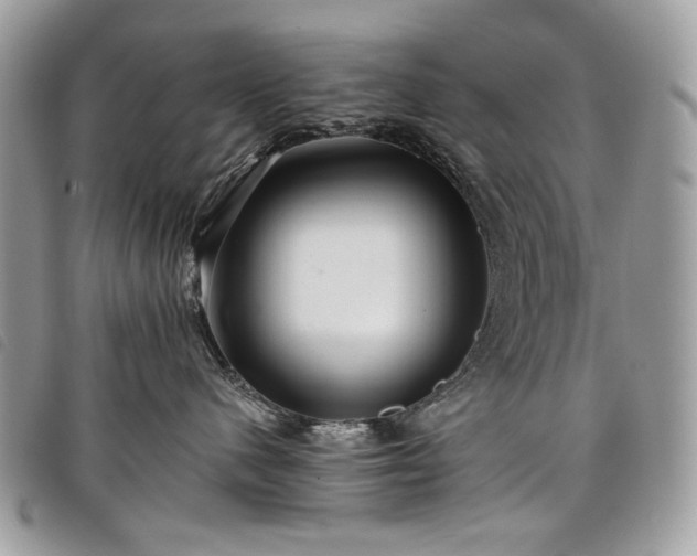 X0000098030480200804071420