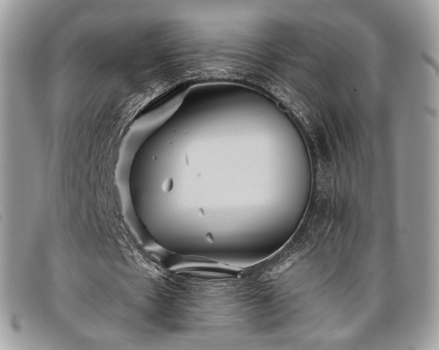 X0000098030481200804071420