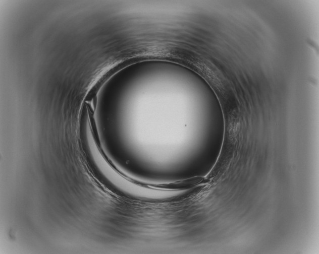 X0000098030484200804071420