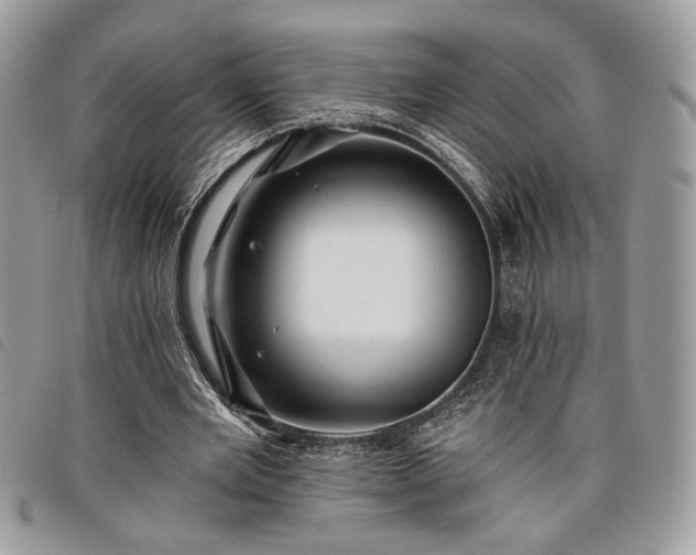 X0000098030485200804071420